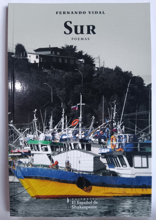 Sur - Fernando Vidal